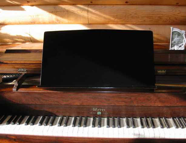 GCDN Keyboard Music Score Stand,Portable Sheet Music Stand Music Book Holder Stand for Most Electronic Organ Electric Pianos Black